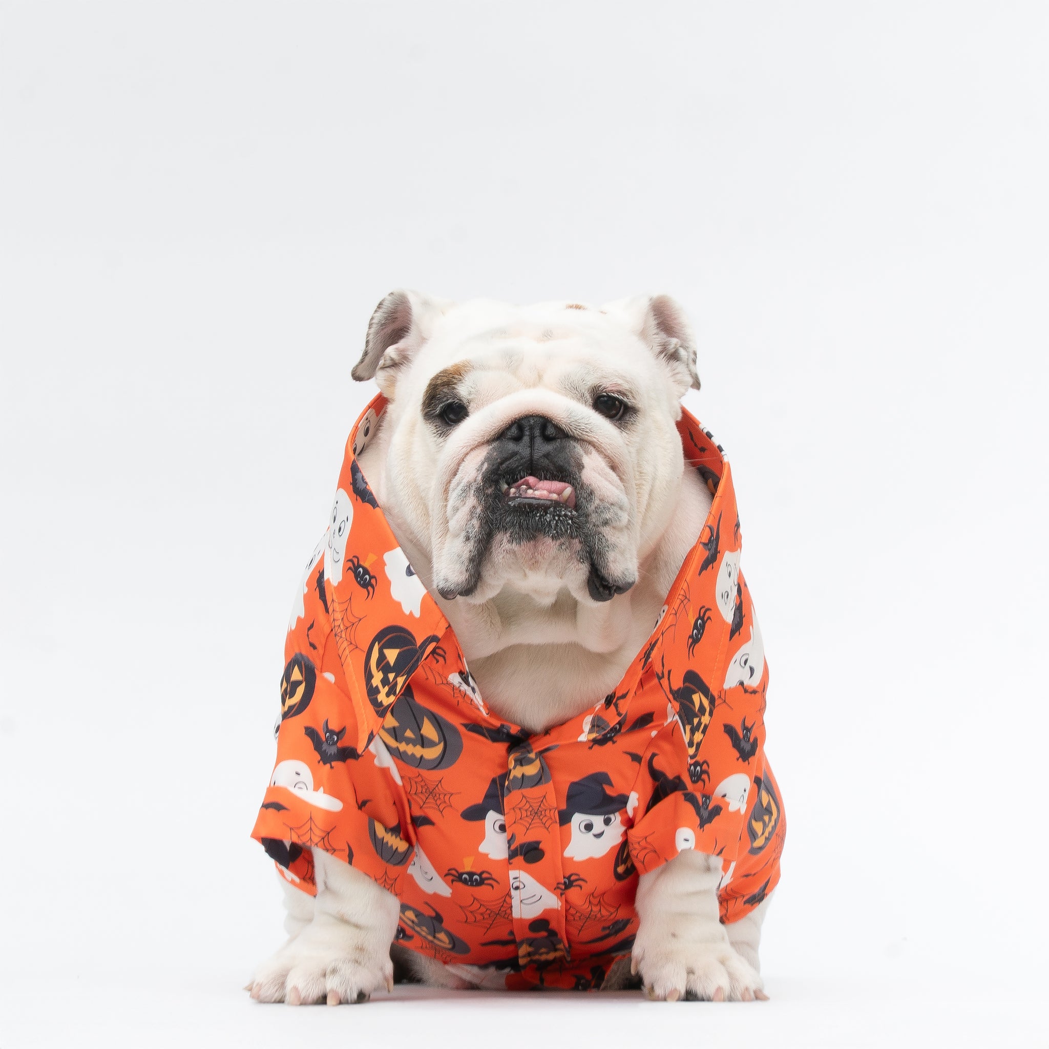 WONTON Halloween 2025 shirt