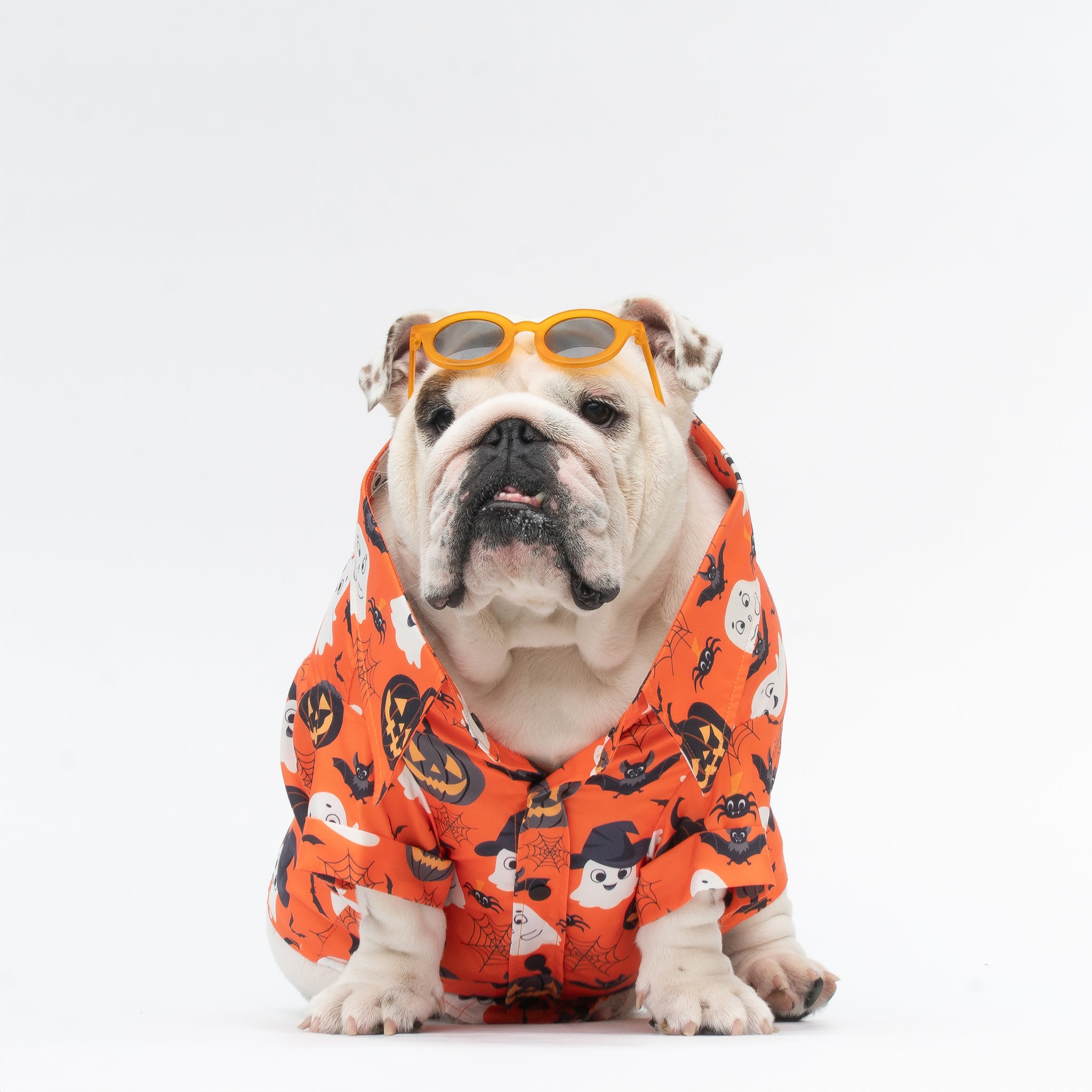 WONTON Halloween 2025 shirt