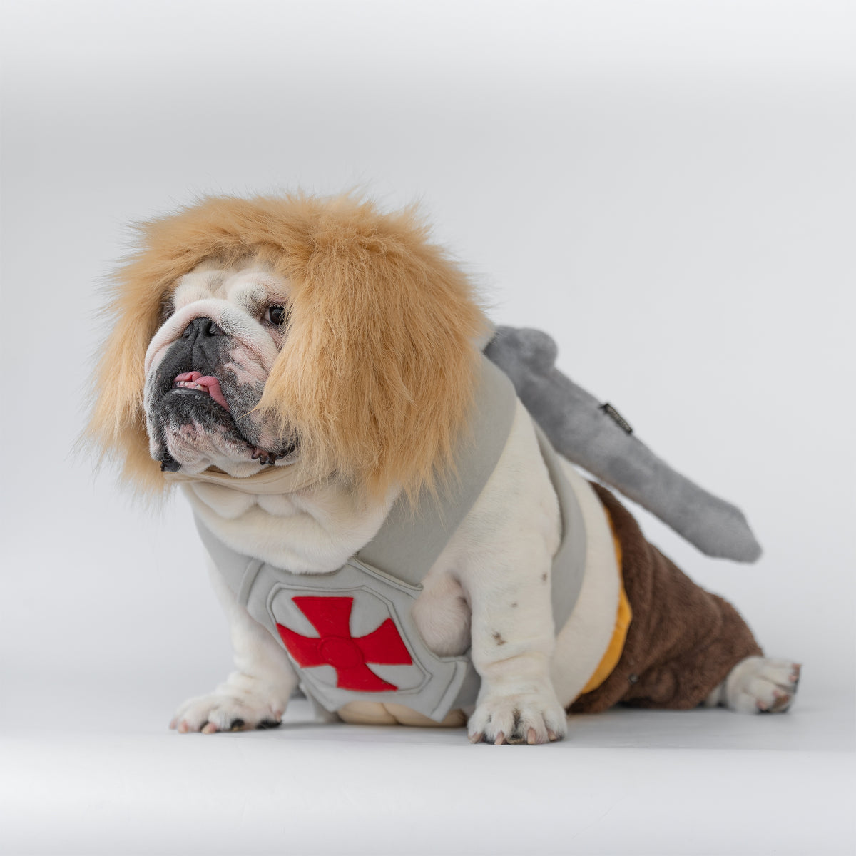 WONTON He-Pup Costume