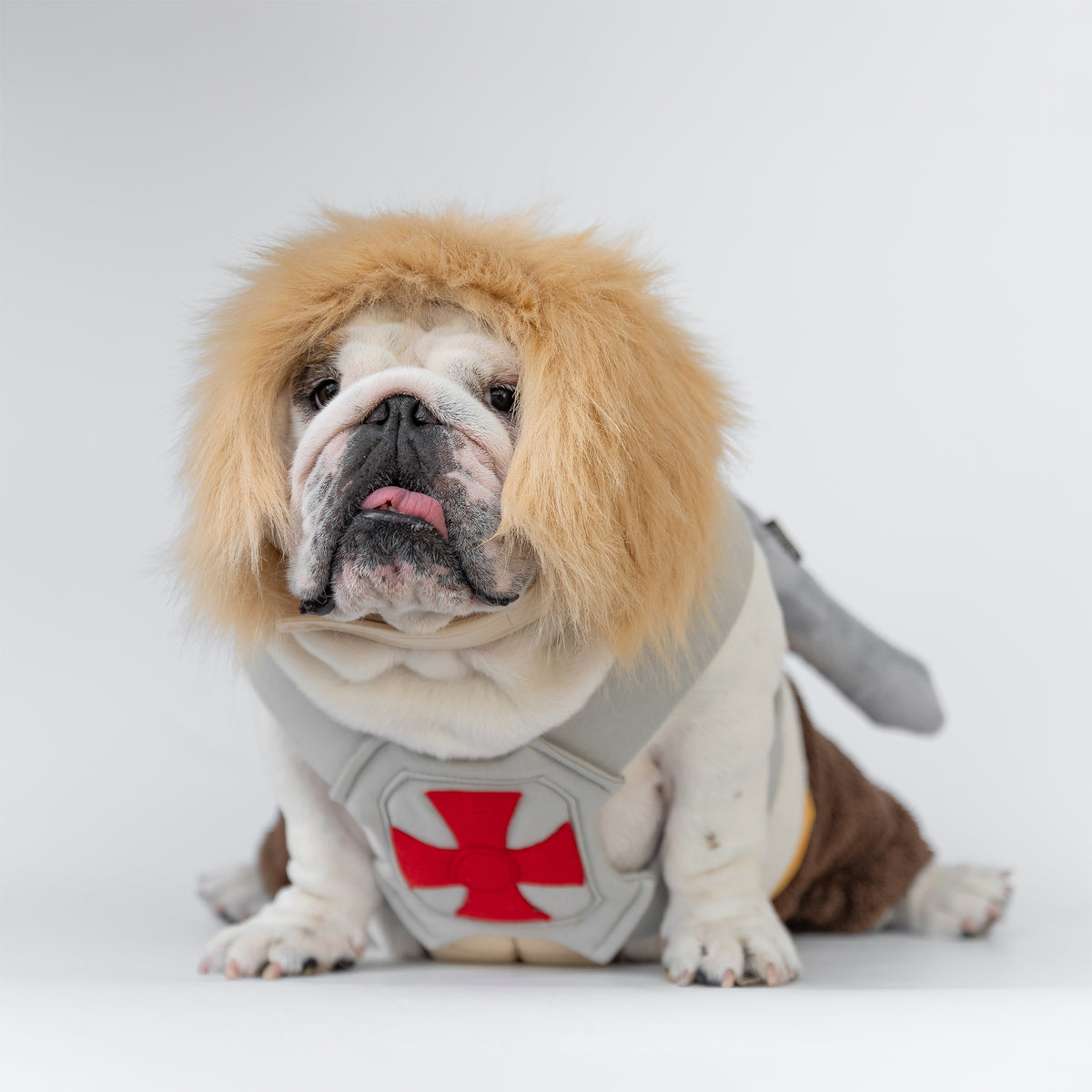 WONTON He-Pup Costume