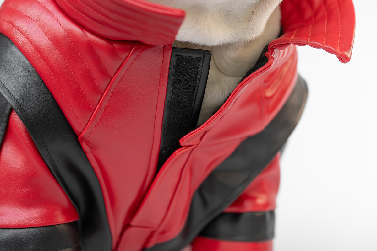 WONTON Midnight Thriller Jacket (Limited Edition)