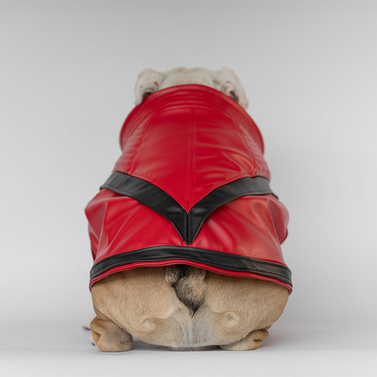 WONTON Midnight Thriller Jacket (Limited Edition)
