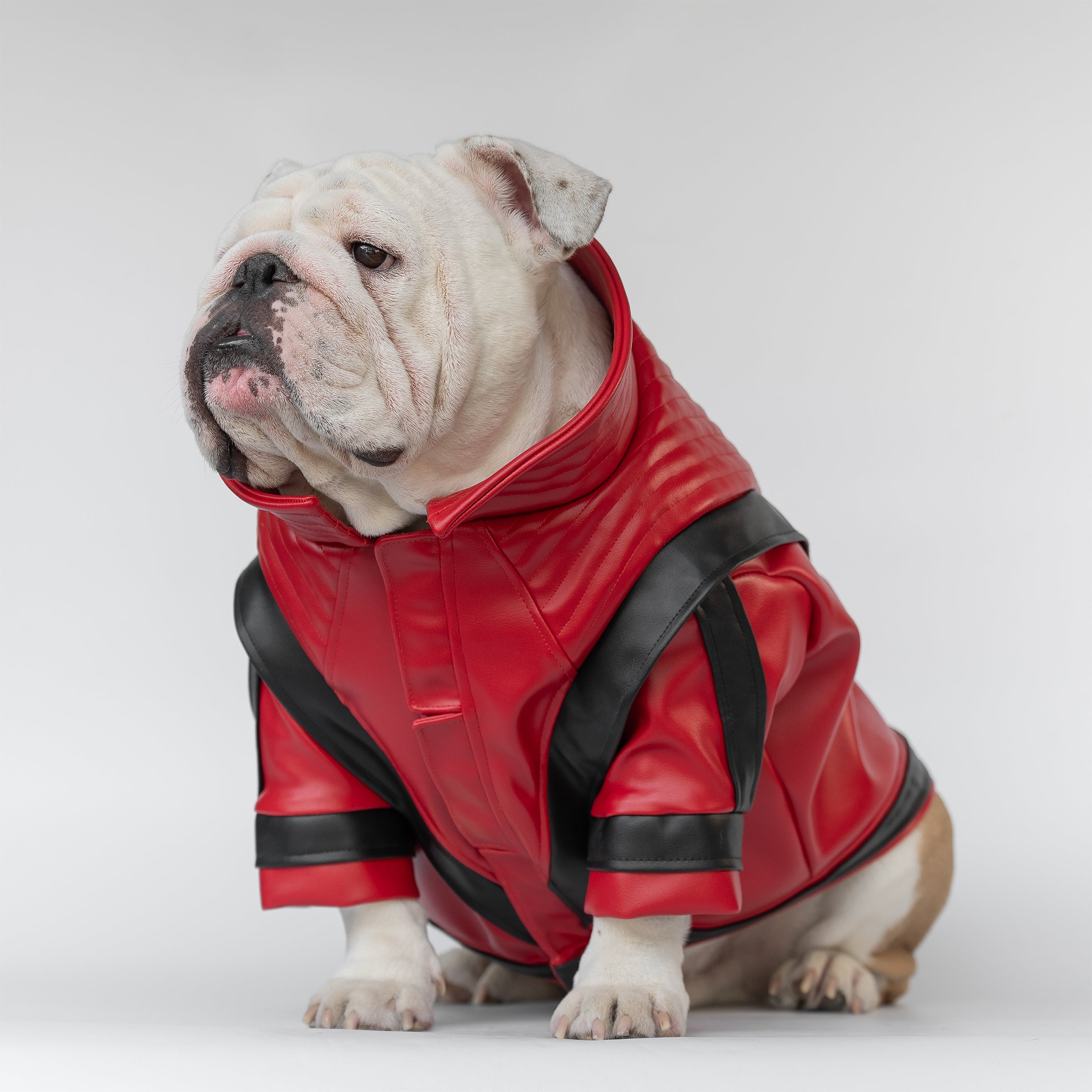WONTON Midnight Thriller Jacket (Limited Edition) – Wonton Collection
