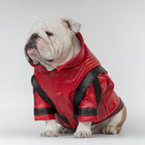 WONTON Midnight Thriller Jacket (Limited Edition)