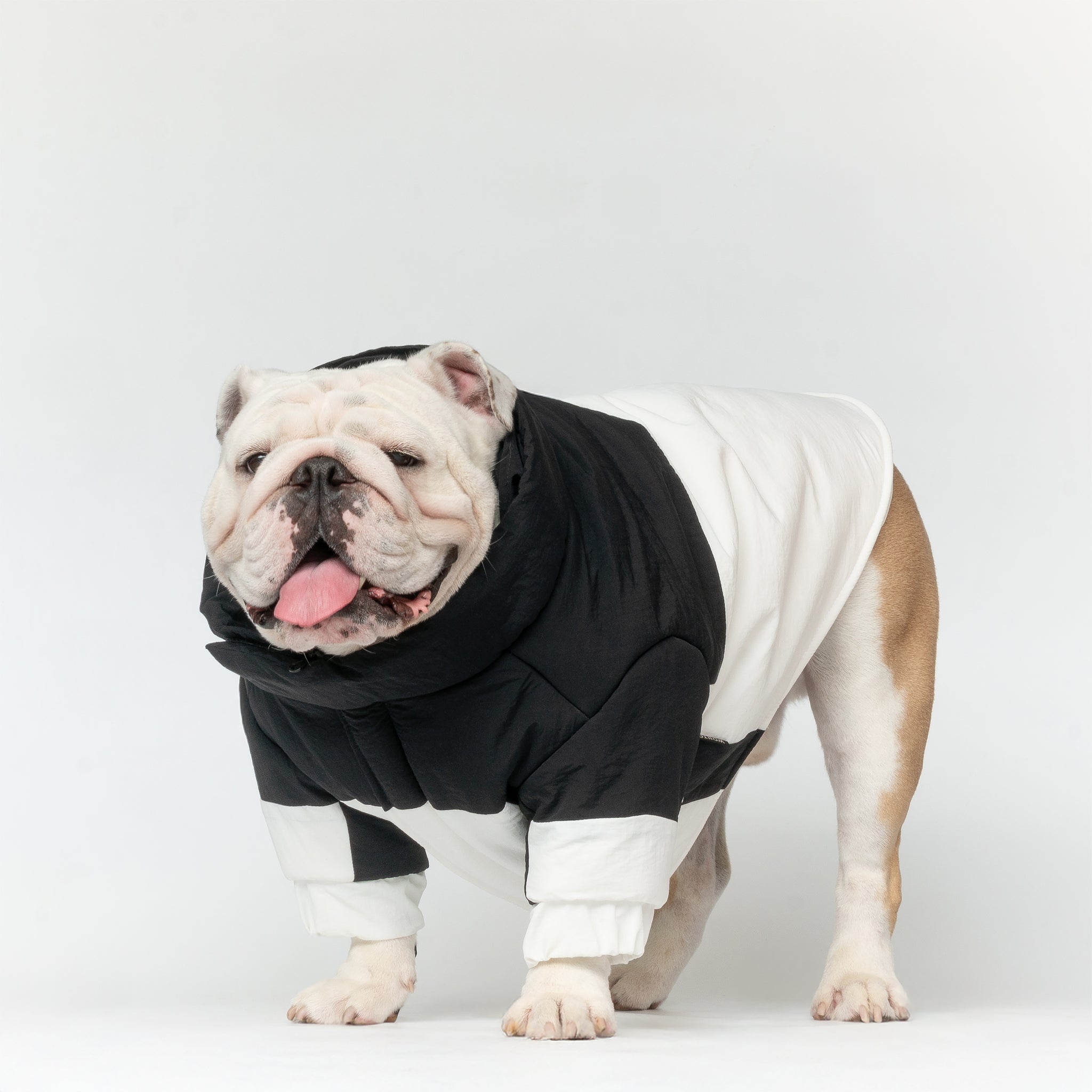 WONTON SNOWSTORM II in black and white