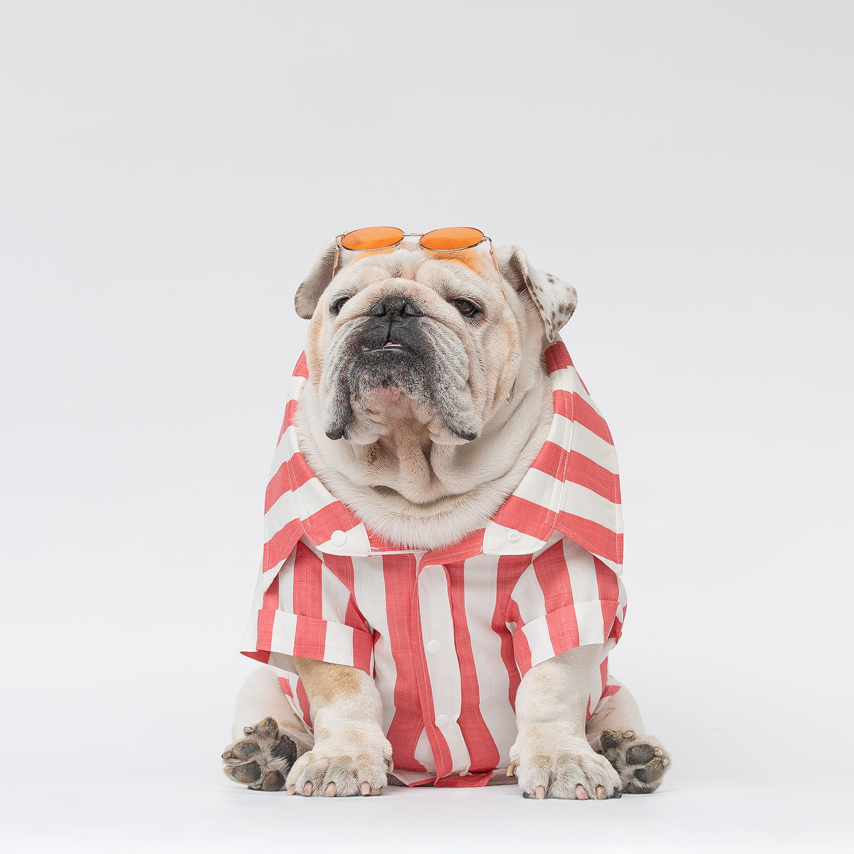 WONTON SUNSET STRIPE shirt