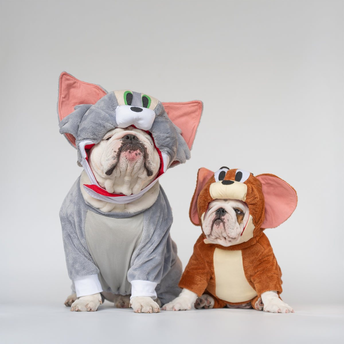 WONTON Jerry costume