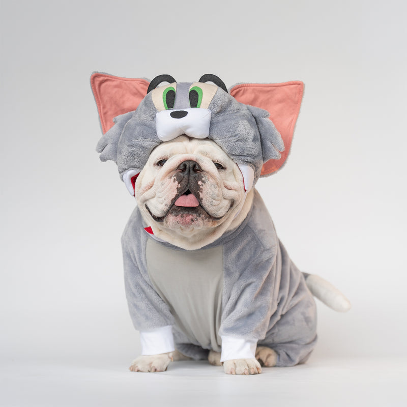 WONTON TOM costume