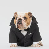 WONTON TUXEDO in black + Formal shirt in white