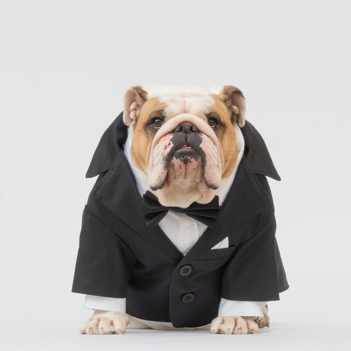 WONTON TUXEDO in black + Formal shirt in white