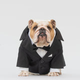 WONTON TUXEDO in black + Formal shirt in white