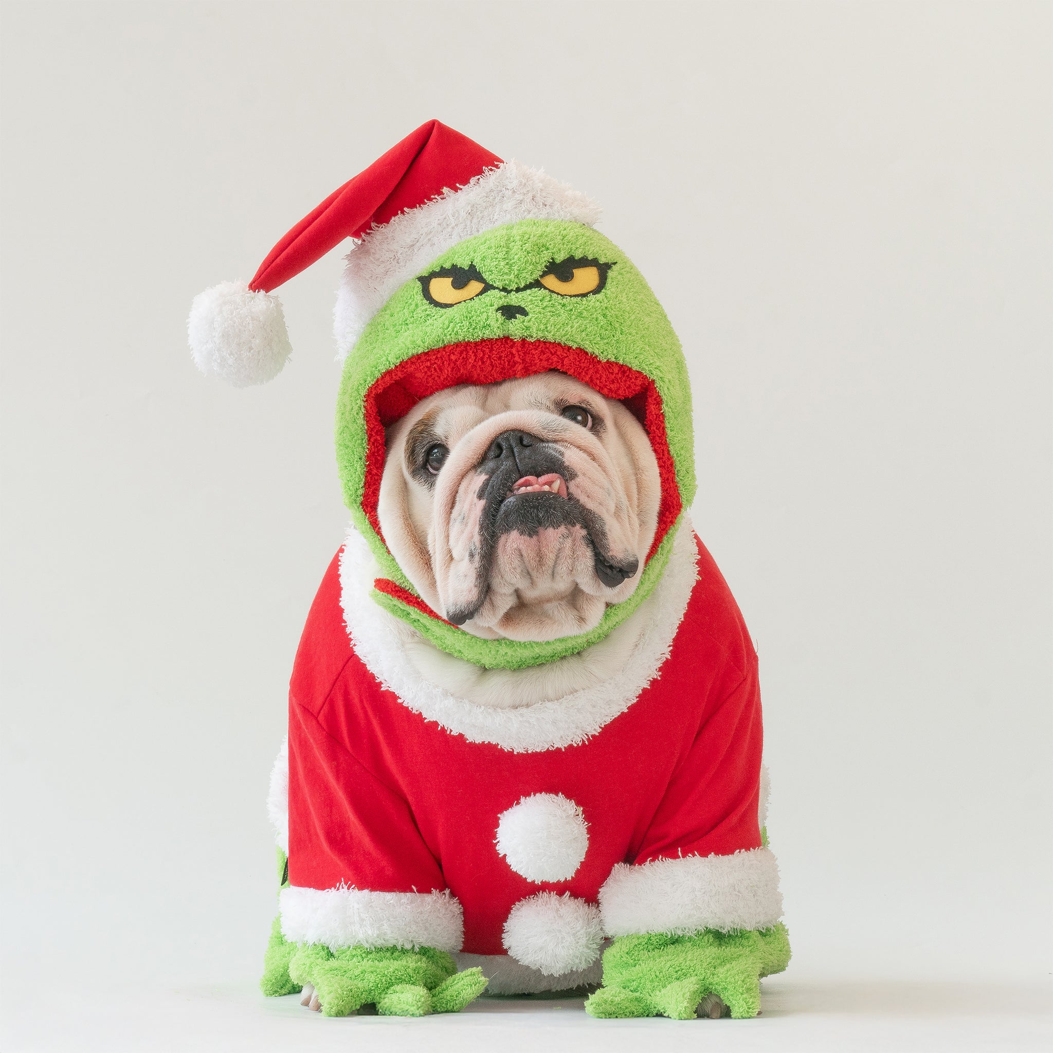 WONTON Mr. Grinch costume (CHRISTMAS LIMITED EDITION) Wonton Collection WONTON Mr. Grinch costume (CHRISTMAS LIMITED EDITION) Wonton Collection