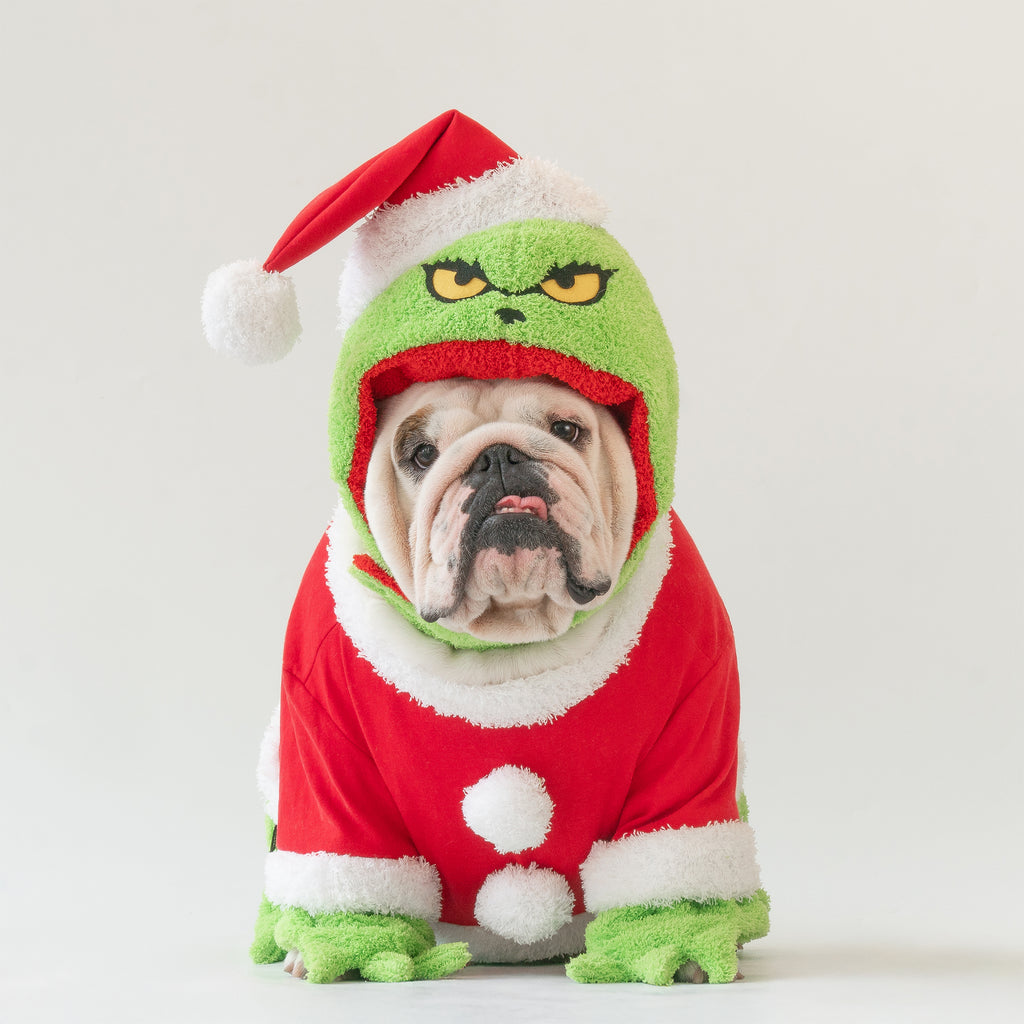 WONTON Mr. Grinch costume (CHRISTMAS LIMITED EDITION)