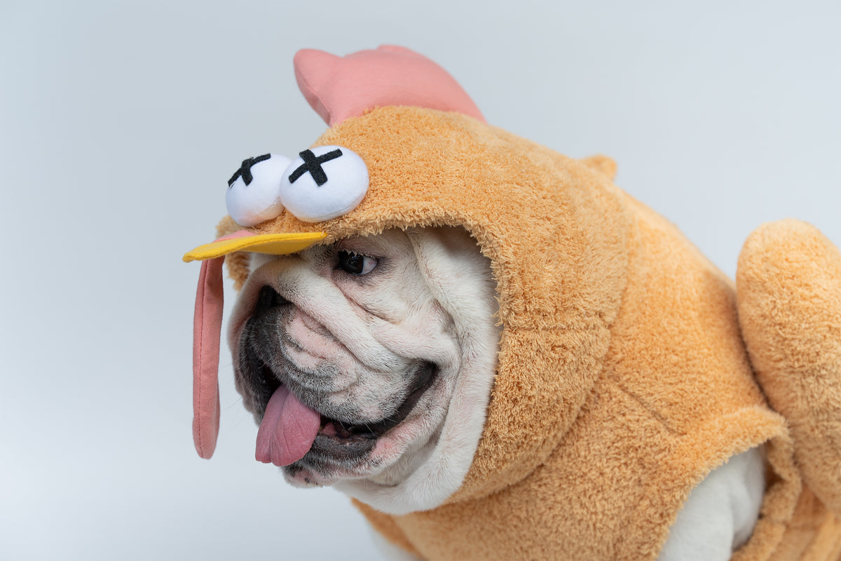 WONTON The Last Gobble costume