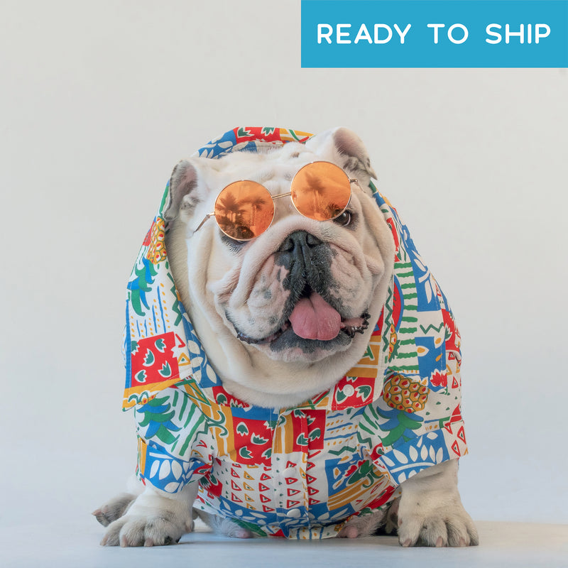 WONTON Winter in Waikiki shirt
