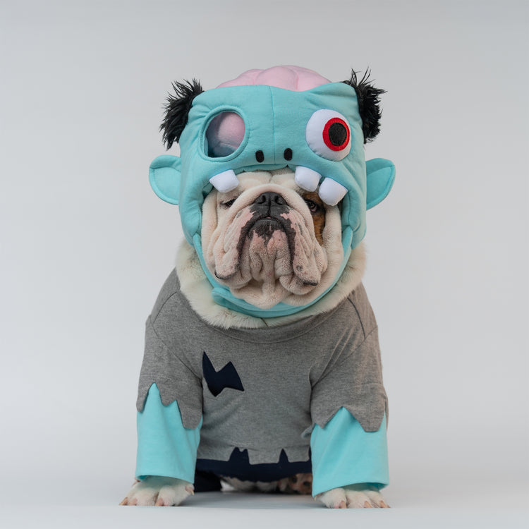 WONTON Zombie costume