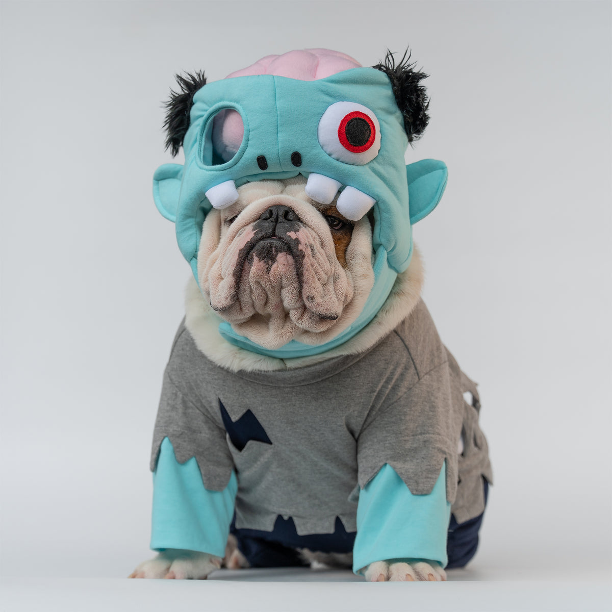 WONTON Zombie costume
