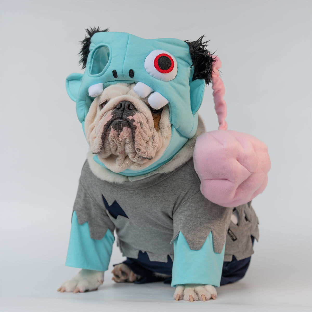 WONTON Zombie costume