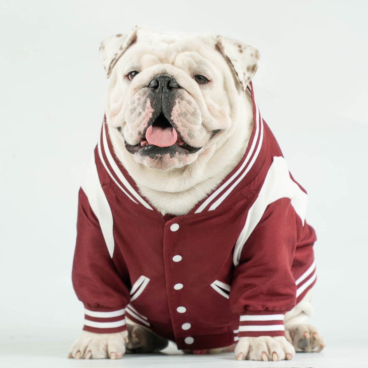 WONTON BAD BOYS BOMBER Jacket in burgundy, LIMITED EDITION (Customizable Chest Letter) - WontonCollection