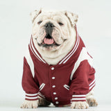 WONTON BAD BOYS BOMBER Jacket in burgundy, LIMITED EDITION (Customizable Chest Letter) - WontonCollection