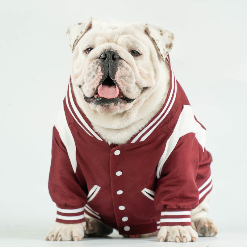 WONTON BAD BOYS BOMBER Jacket in burgundy, LIMITED EDITION (Customizable Chest Letter) - WontonCollection