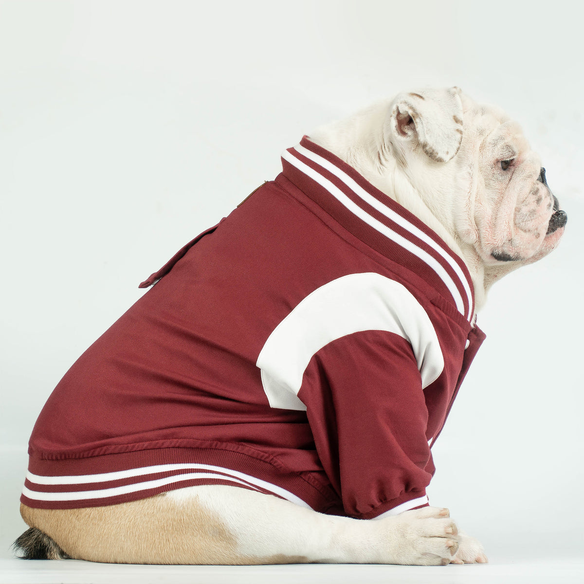 WONTON BAD BOYS BOMBER Jacket in burgundy (Customizable Chest Letter