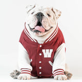 WONTON VARSITY BOMBER Jacket in burgundy (Customizable Chest Letter) - WontonCollection