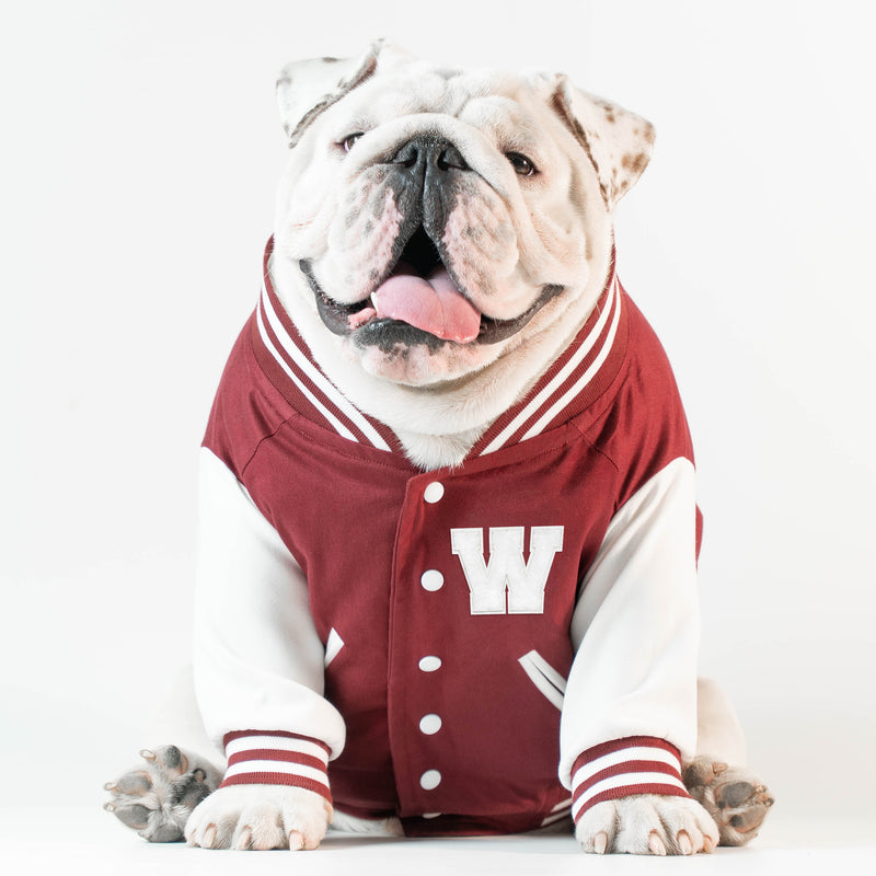 WONTON VARSITY BOMBER Jacket in burgundy (Customizable Chest Letter) - WontonCollection