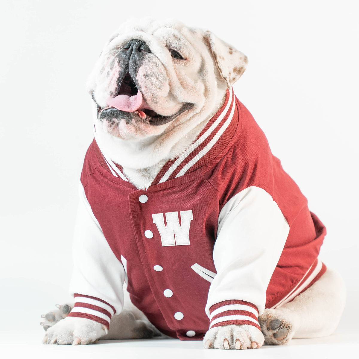 WONTON VARSITY BOMBER Jacket in burgundy (Customizable Chest Letter) - WontonCollection
