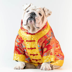 WONTON CHINESE NEW YEAR Outfit (LIMITED EDITION) - WontonCollection