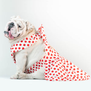 WONTON ONE DRESS with red polka dot print in white - WontonCollection