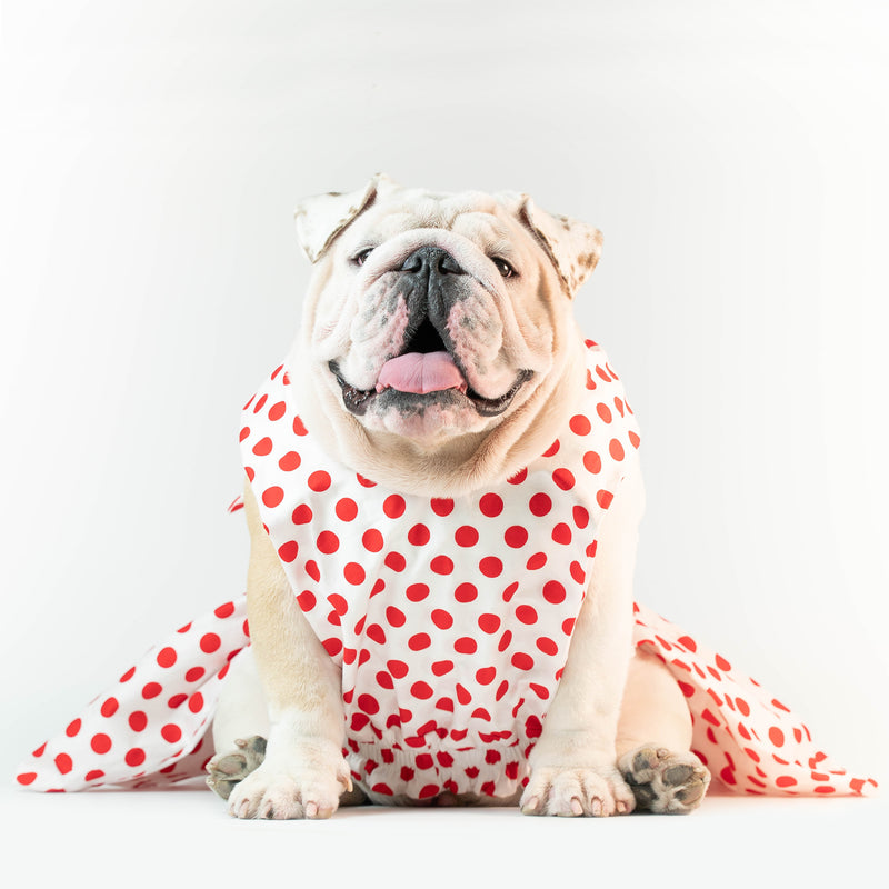 WONTON ONE DRESS with red polka dot print in white - WontonCollection