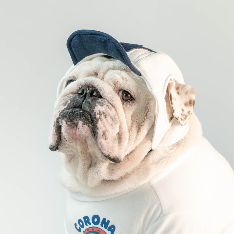 WONTON ONE CAP 2 in white and navy