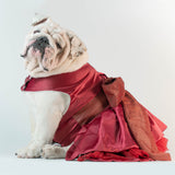 WONTON PROM NIGHT Dress in burgundy - WontonCollection