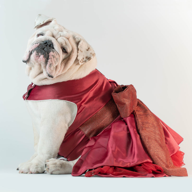 WONTON PROM NIGHT Dress in burgundy - WontonCollection