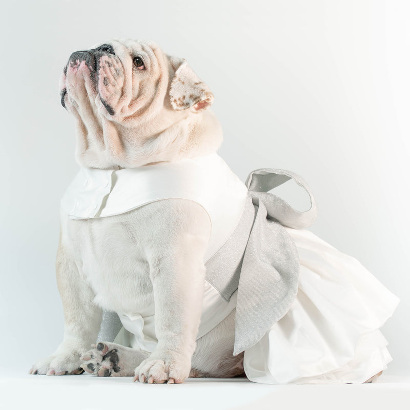 WONTON PROM NIGHT Dress in white - WontonCollection