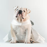 WONTON PROM NIGHT Dress in white - WontonCollection