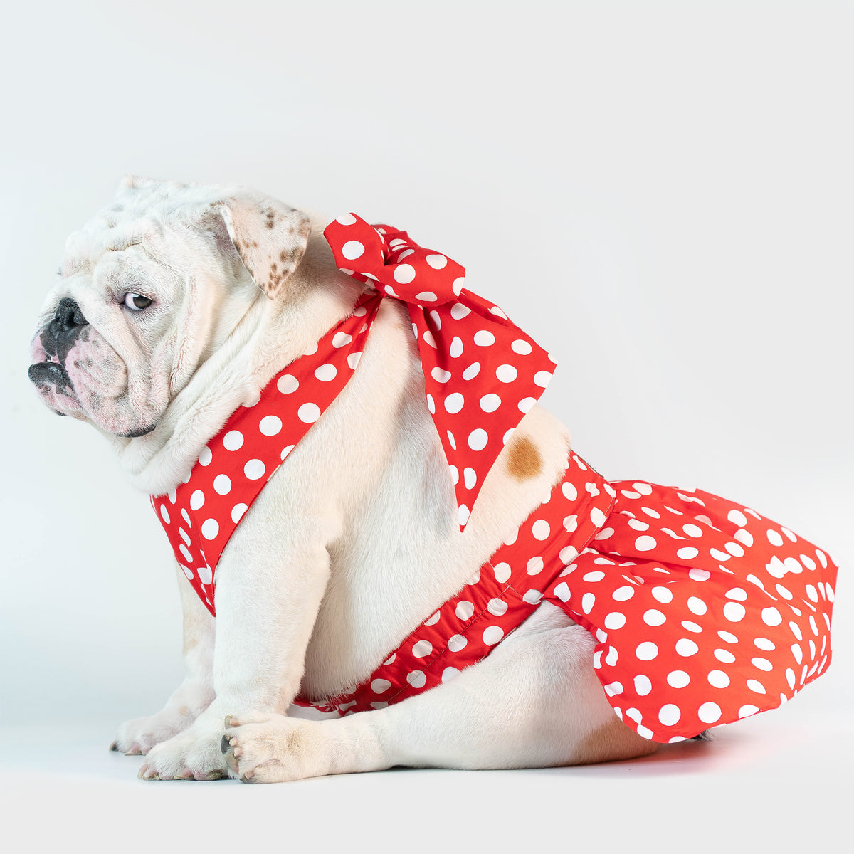 WONTON ONE DRESS with white polka dot print in red - WontonCollection