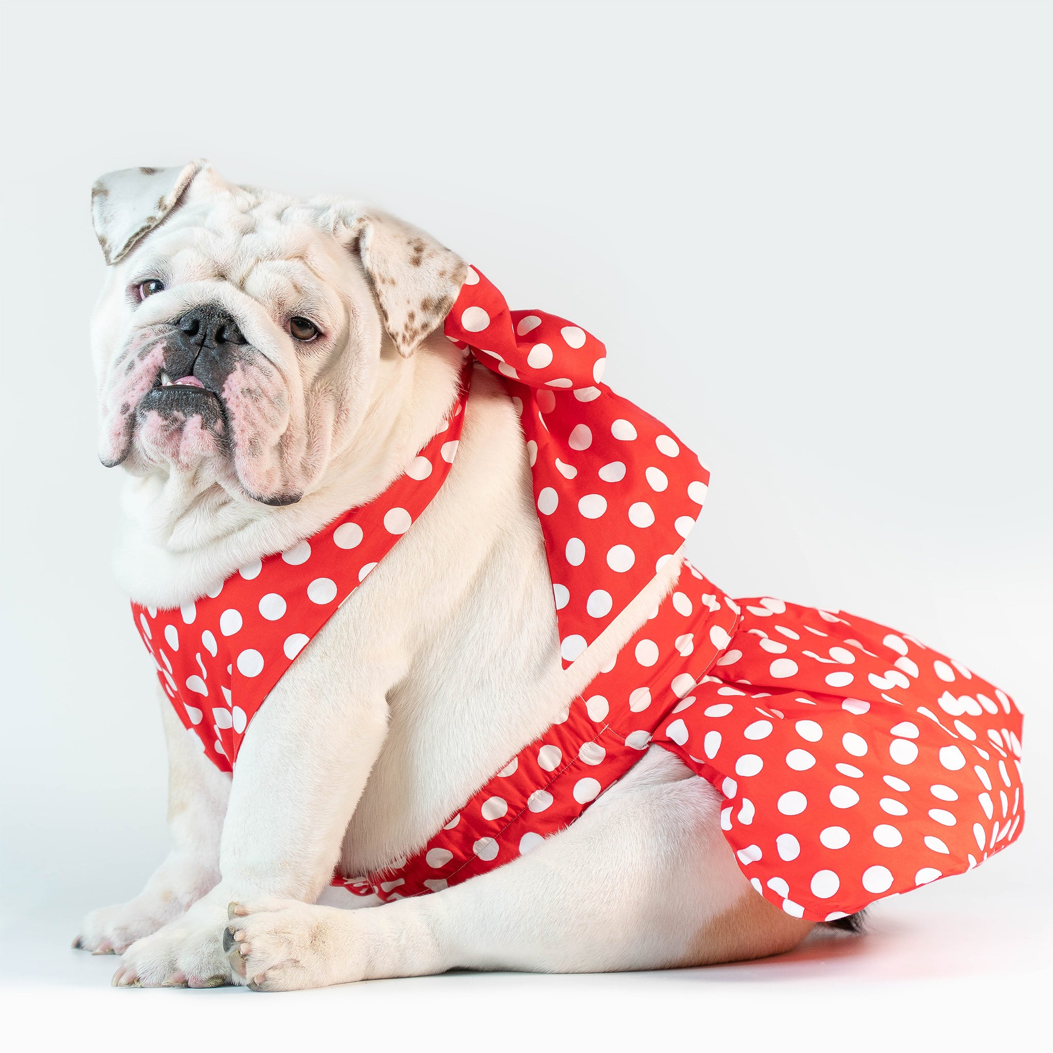 WONTON ONE DRESS with white polka dot print in red - WontonCollection