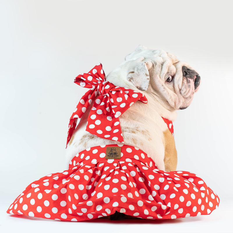WONTON ONE DRESS with white polka dot print in red - WontonCollection