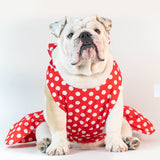 WONTON ONE DRESS with white polka dot print in red - WontonCollection