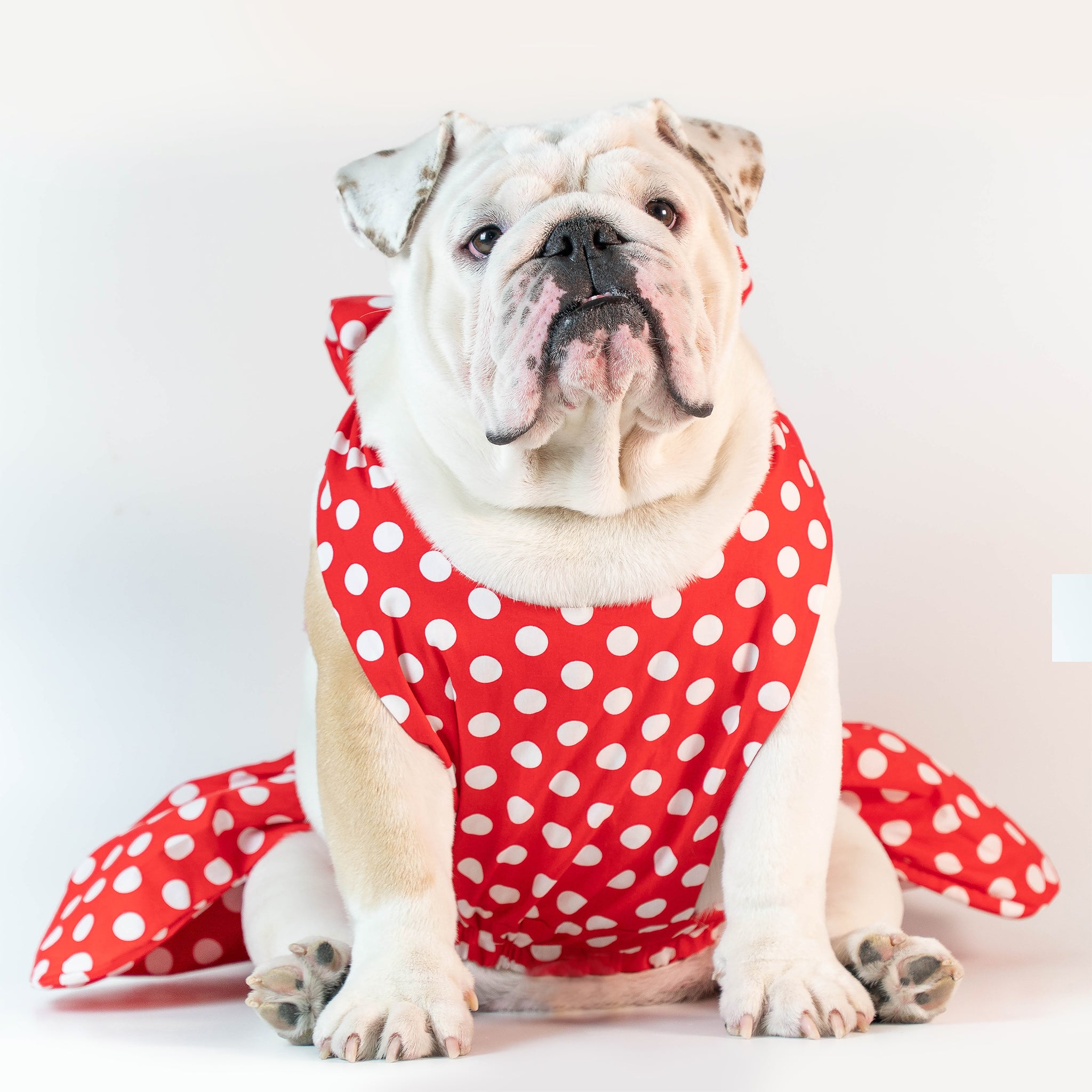 WONTON ONE DRESS with white polka dot print in red - WontonCollection