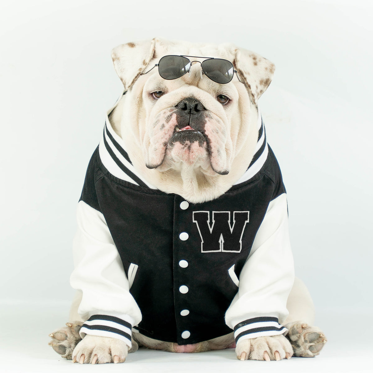 WONTON VARSITY BOMBER Jacket in black (Customizable Chest Letter) - WontonCollection