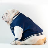 WONTON VARSITY BOMBER Jacket in navy (Customizable Chest Letter) - WontonCollection