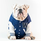 WONTON VARSITY BOMBER Jacket in navy (Customizable Chest Letter) - WontonCollection