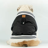 WONTON VARSITY BOMBER Jacket in black (Customizable Chest Letter) - WontonCollection