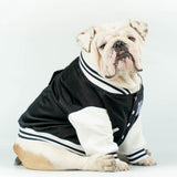 WONTON VARSITY BOMBER Jacket in black (Customizable Chest Letter) - WontonCollection