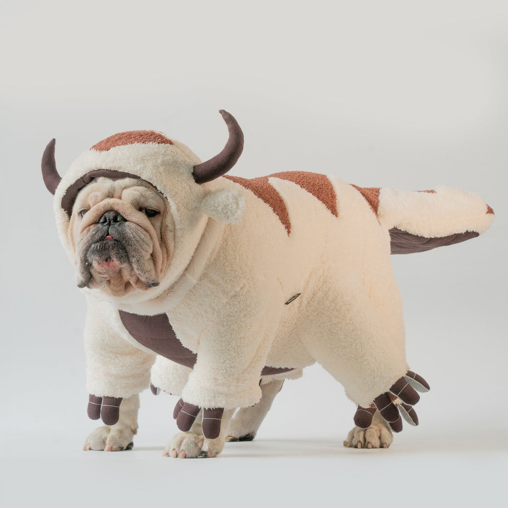 WONTON Sky Bison costume