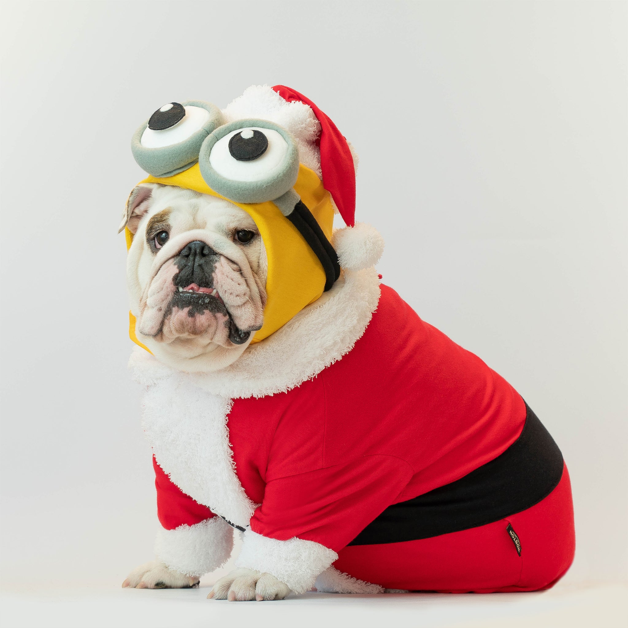 WONTON BOB Santa Onesie (Christmas Limited Edition)