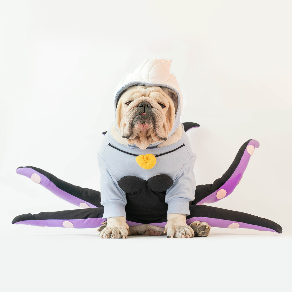 WONTON Bullsula costume
